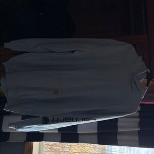Carhartt Sky Blue Loose Fit Hoodie